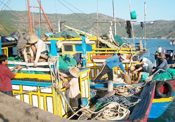 Ngư dân vẫn “đạp sóng” ra Hoàng Sa, Trường Sa