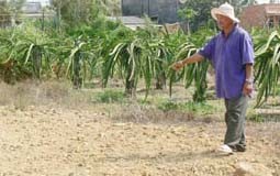 Vụ thảm sát ngày 20-4-1975 ở Bình Thuận: Sẽ lập bia chứng tích chiến tranh