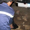 Bình Tân, TP.HCM: Tìm thấy xác người dưới kênh Nước Đen