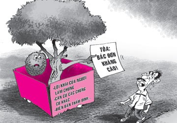 Chặt cây mít hàng xóm