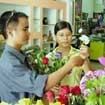 Thị trường Valentine: Hoa tăng, quà giảm giá