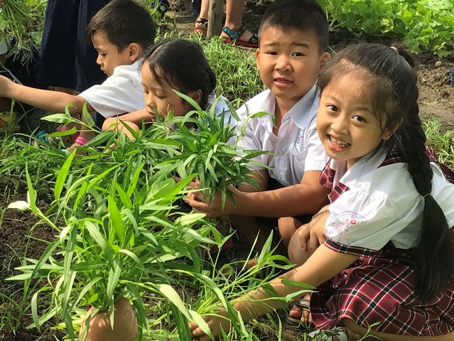 TP.HCM: 9 trường học nào theo mô hình tiên tiến?