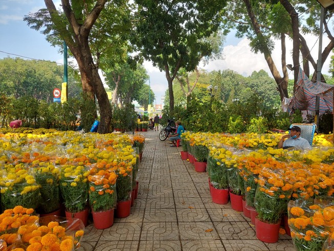 TPHCM vận động người dân mua hoa ủng hộ tiểu thương đón tết