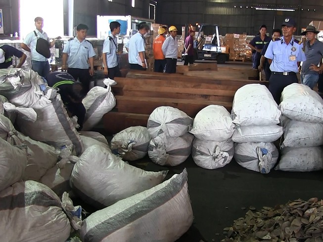 Gần 4 tấn nghi vảy tê tê cập cảng Cát Lái