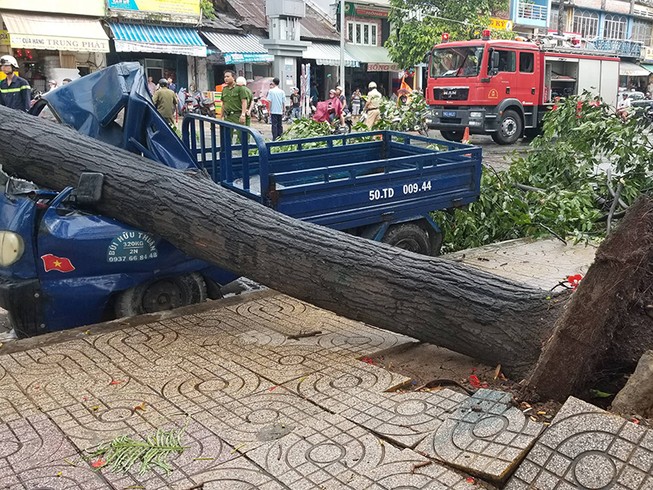 Lốc lớn, cây đổ, tét nhánh, nhà tốc mái hàng loạt ở TP.HCM