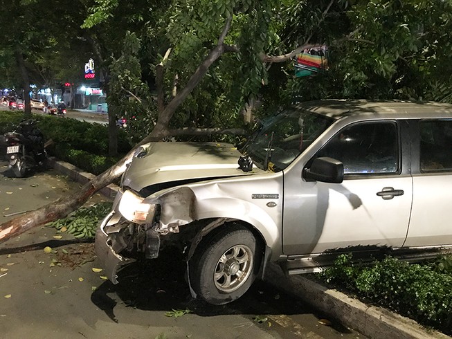 Ô tô mất lái cán hàng loạt cây xanh ở Bình Thạnh