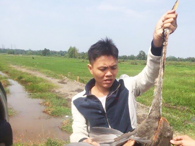 Bạn thân của Tuấn “khỉ” bị khởi tố