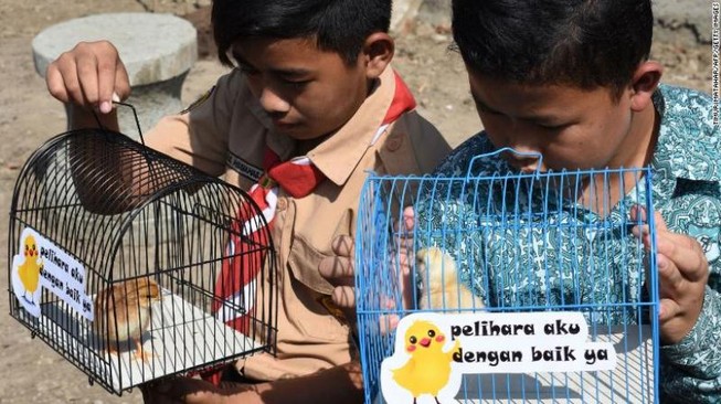 Indonesia đổi điện thoại di động lấy gà, ớt