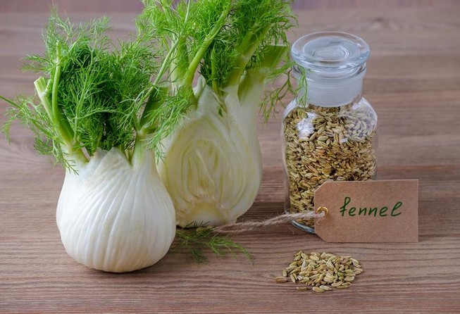 Nhiều lợi ích bất ngờ của cây thì là