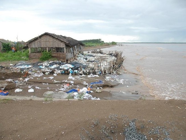 Dầu vón cục tràn vào bãi biển Bến Tre