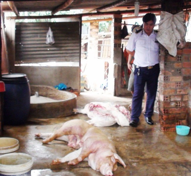 Phát hiện lò mổ heo bệnh bán cho các chợ ở Bình Dương, Đồng Nai