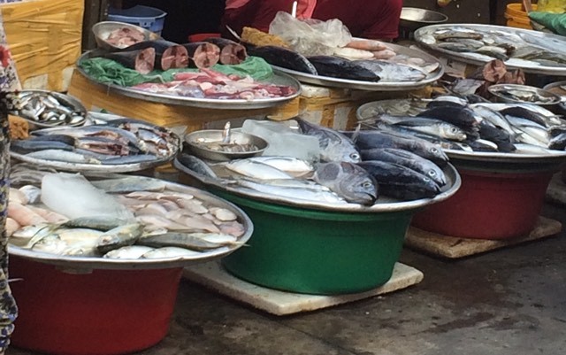 Vớt cá chết để bán, dễ mang họa