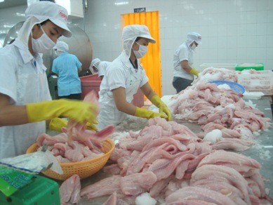 Lùi thời hạn áp dụng VietGAP nuôi cá tra đến cuối 2016