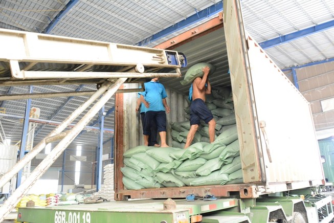 'Ông lớn' gạo vẫn được ưu ái hợp đồng cấp chính phủ