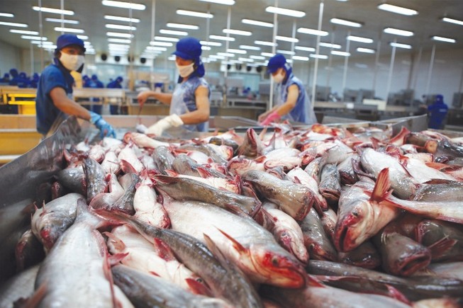Cá tra bị Mỹ áp thuế cao, Bộ Công Thương lên tiếng
