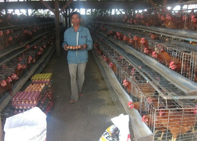 Lạ: Việt Nam nhập khẩu trứng gà, muối hằng năm