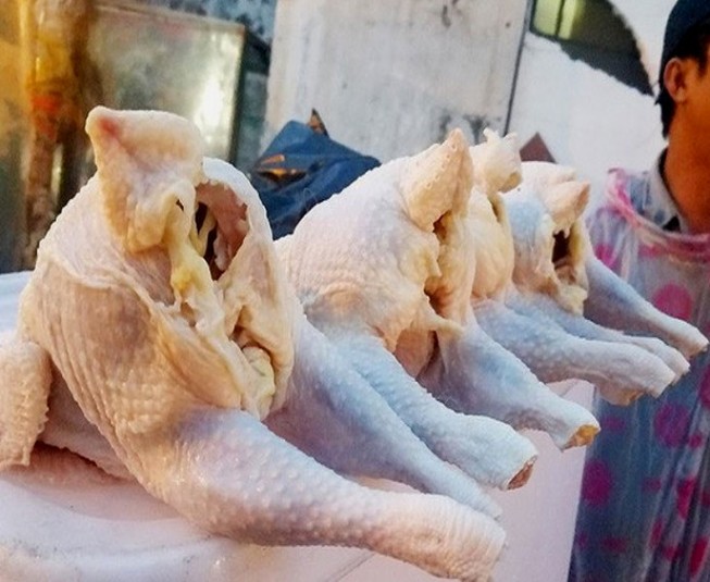 90.000 tấn thịt gà nhập về Việt Nam giá rẻ bèo 23.000 đồng/kg