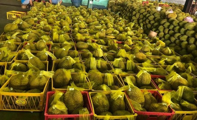 Sầu riêng Việt Nam 'bơi' sang Mỹ, giá 185.000 đồng/kg