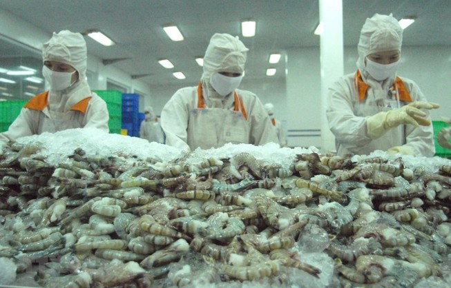 Hàng trăm tấn tôm nằm chờ vì tắc đường sang Trung Quốc