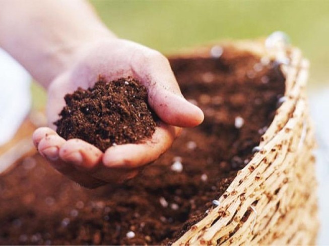 Những công dụng bất ngờ của bã cà phê không phải ai cũng biết