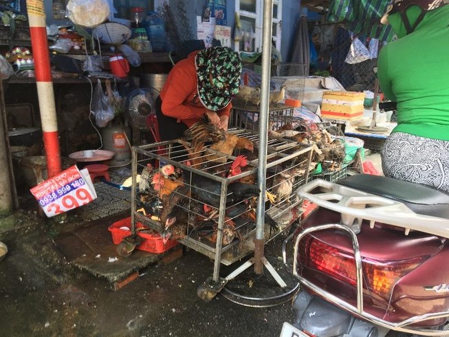 Giết mổ gia cầm tại chỗ bán, tiện nhưng không lợi