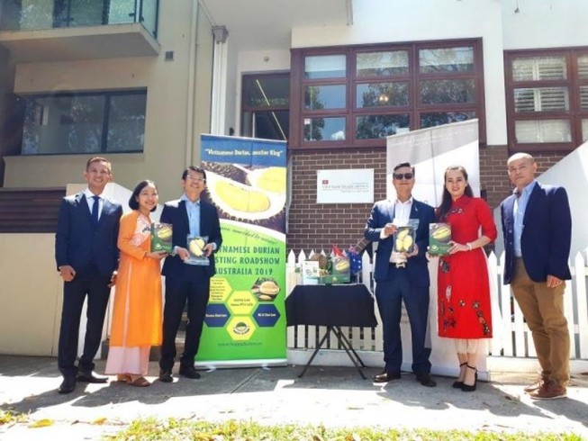 Sầu riêng Việt đối đầu với sầu riêng Thái tại Úc