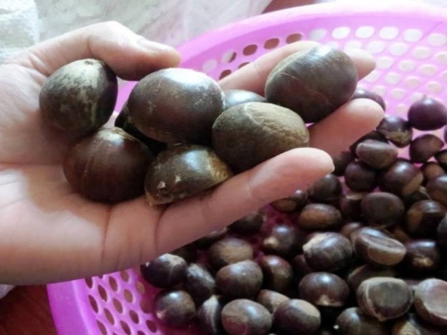 Hạt dẻ Trung Quốc gắn mác Việt Nam, làm sao để nhận biết?