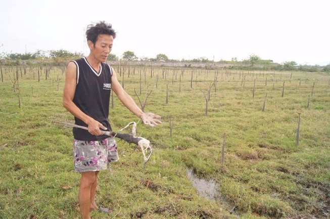 Kiểm tra các giếng nước gần bãi xỉ Vĩnh Tân