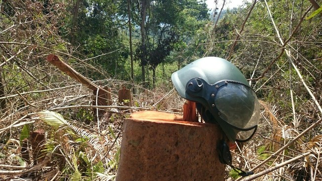 Công an đi kiểm tra vụ phá rừng trên đồi Kumagai