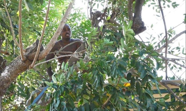Việt kiều Mỹ hò hét, đập phá 8 giờ trên mái nhà