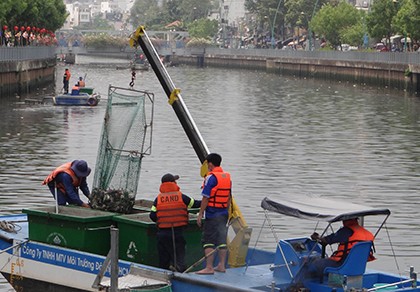 Tách nước bẩn, ngăn cá chết trên kênh Nhiêu Lộc - Thị Nghè
