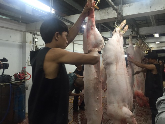 Giữa đêm kiểm tra 'lý lịch' heo vào chợ tại TP.HCM