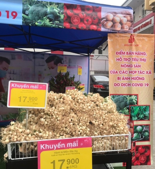 Siêu thị TP.HCM bán nông sản Hải Dương không lợi nhuận