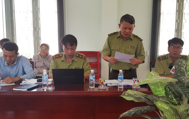 Công bố thanh tra vụ phá rừng nuôi bò ở Phú Yên