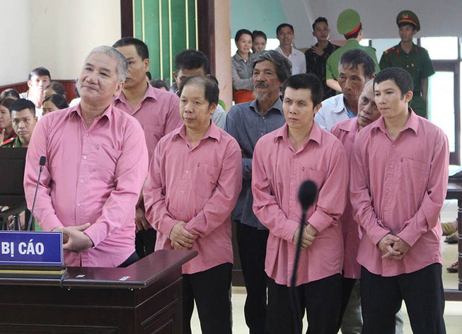 Tuyên án vụ phá rừng lớn nhất tỉnh Bình Định
