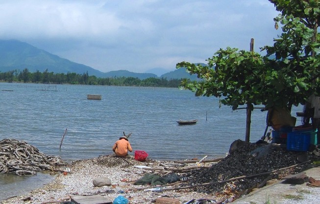 Vịnh đẹp thế giới bị ô nhiễm bởi nghề nuôi hàu