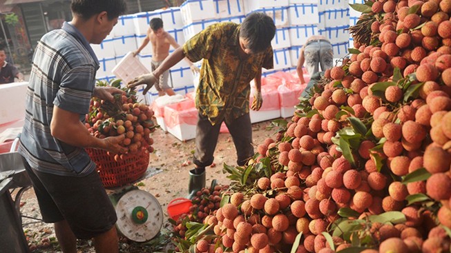 Trung Quốc trúng thầu nhiều vì Việt Nam thực hiện tốt luật (?)