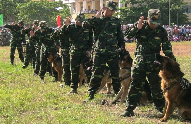 Chùm ảnh biểu diễn võ thuật đầy uy dũng của Bộ đội biên phòng
