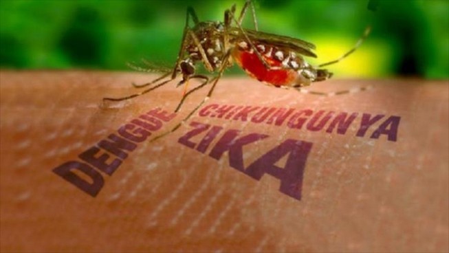 Kiểm dịch y tế tại cửa khẩu phòng virus Zika xâm nhập