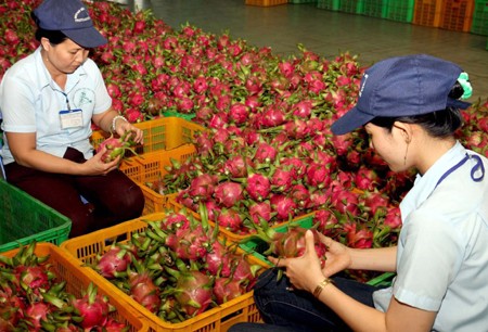Gặp gỡ tham tán: Doanh nghiệp than xuất hàng quá khó