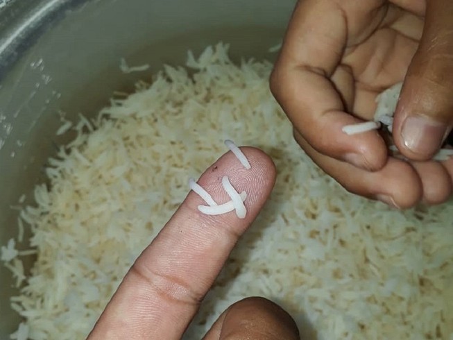Cà Mau đề nghị 1 người dân gỡ tin gạo giả trên Zalo