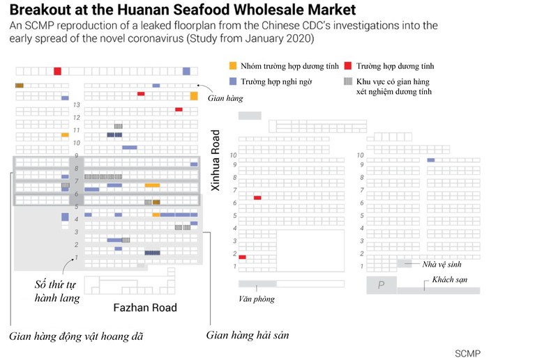 WHO điều tra khu chợ Vũ Hán, ổ dịch COVID-19 đầu tiên - ảnh 1