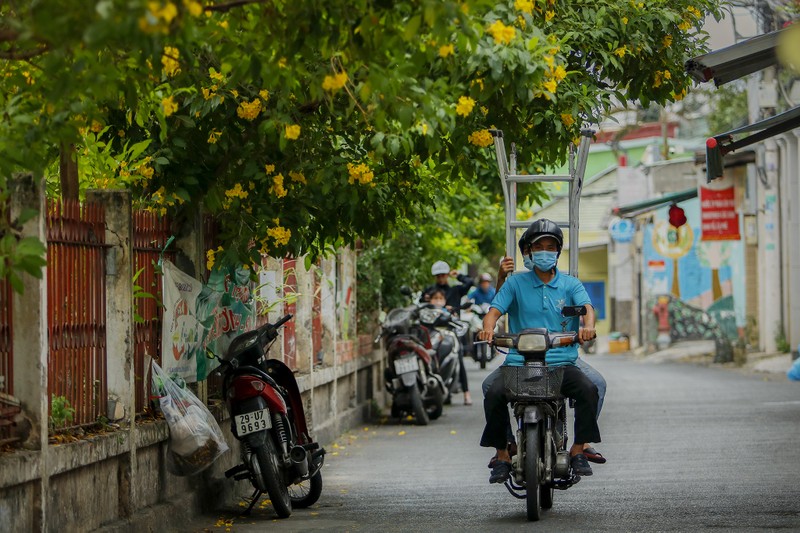 Bộ ảnh: Huỳnh liên nở rợp trên đường phố Sài Gòn - ảnh 6