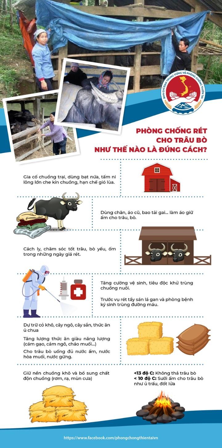 Miền Bắc sắp rét đậm, có nơi dưới 5 độ C - ảnh 2