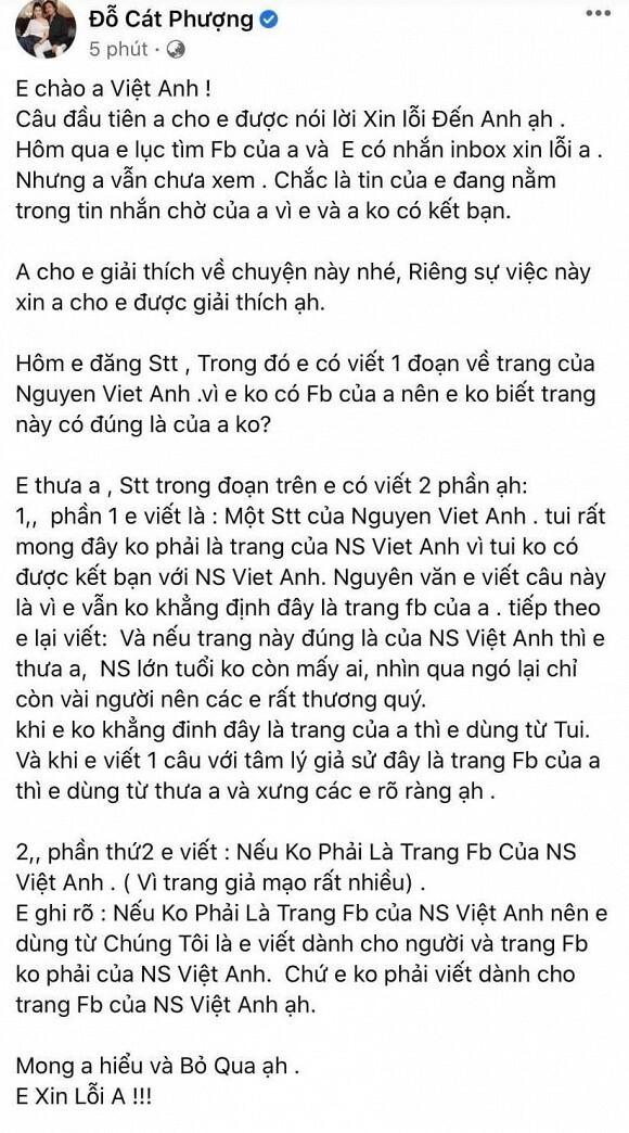 Cát Phượng xin lỗi nghệ sĩ Việt Anh sau phát ngôn trên MXH - ảnh 3