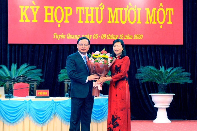 Trong tuần, nhiều tỉnh, thành phố bầu lãnh đạo HĐND và UBND - ảnh 6