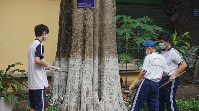 Ấn tượng: Học sinh trang trí ghế đá bằng công thức toán học - ảnh 8