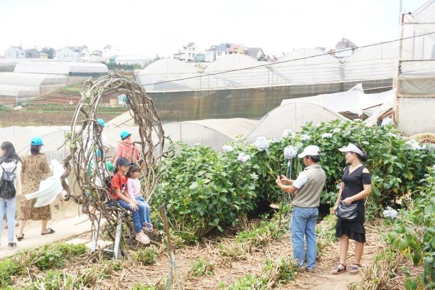 'Ngân hàng cho vay khi làm ăn tốt, từ chối khi DN khó khăn' - ảnh 2