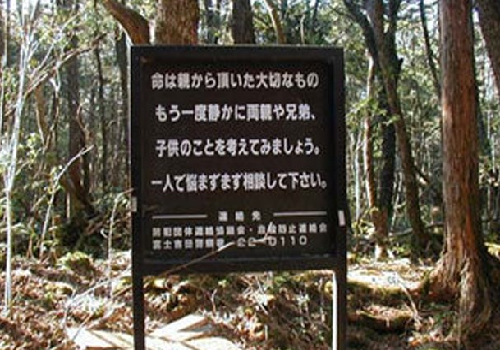 9.png