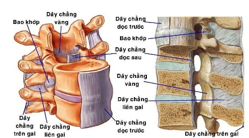 Đau tê từ bụng xuống chân coi chừng bị hẹp ống sống ngực - ảnh 1